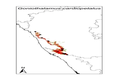 Goniothalamus cardiopetalus